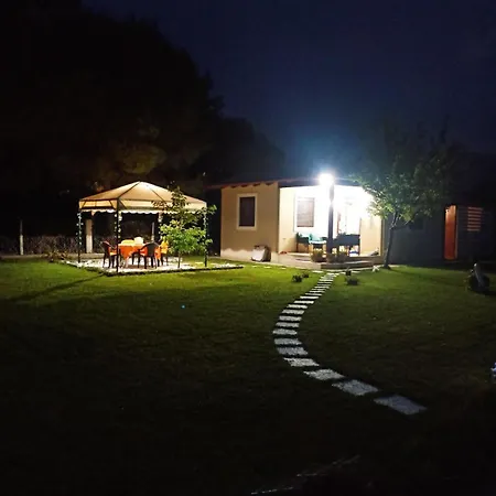 Beachfront Stories *