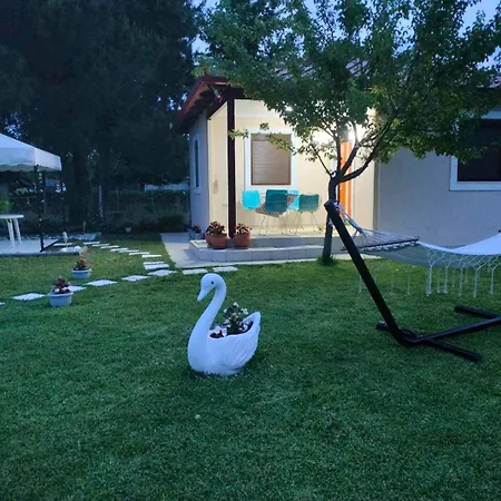 Beachfront Stories *